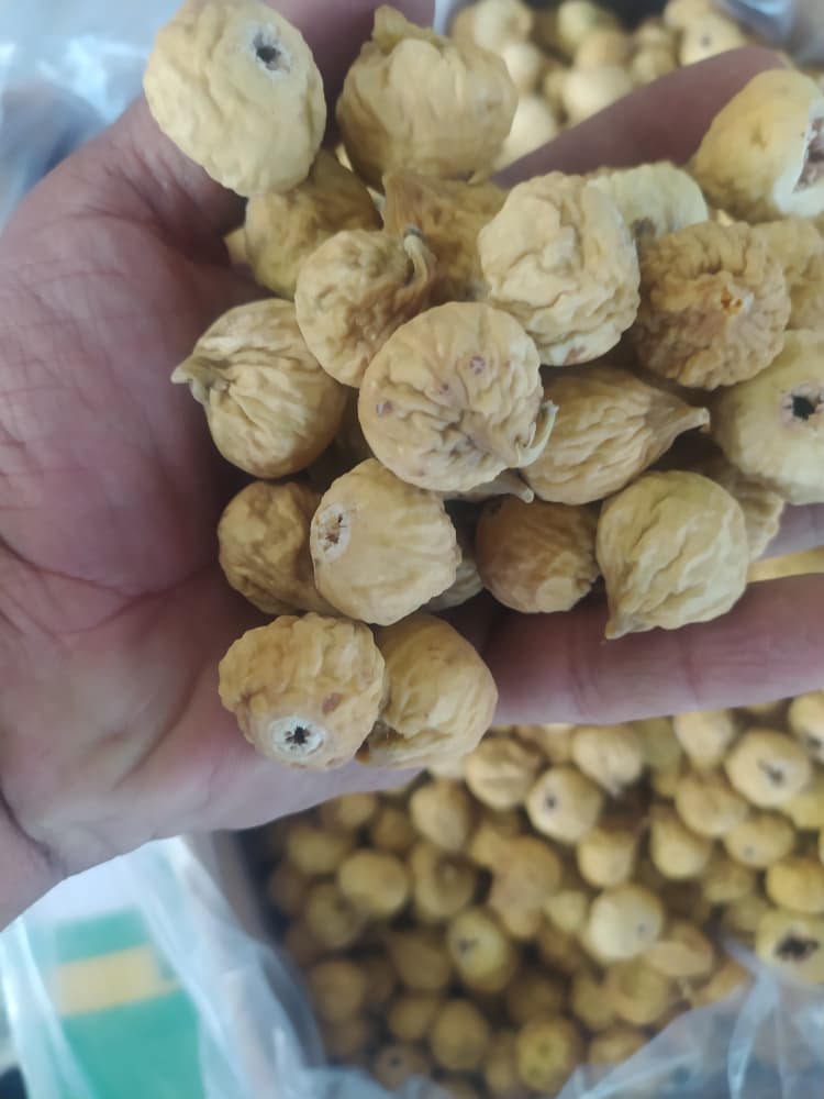 فروش انجیر سفید دو آ + خرید به صرفه